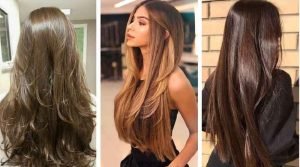 Cortes-de-pelo-largo